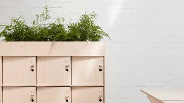Opendesk 储物柜种植架(Fin Locker Planter)2