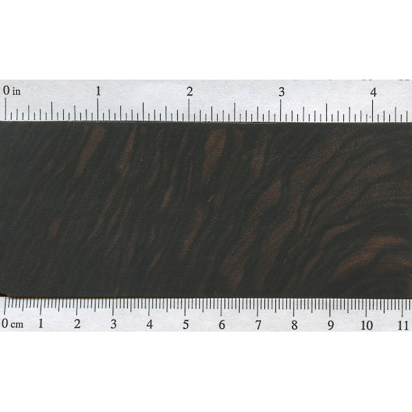 苏拉威西乌木-0