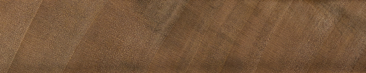 美国软枫木(银枫)-1