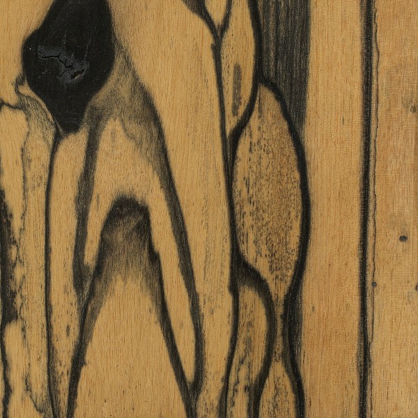 black-and-white-ebony-1