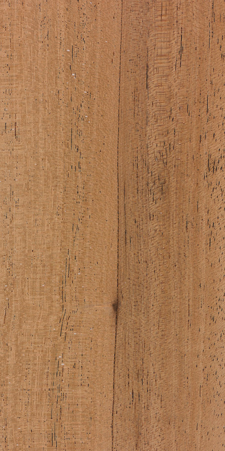 非洲桃花心木-2