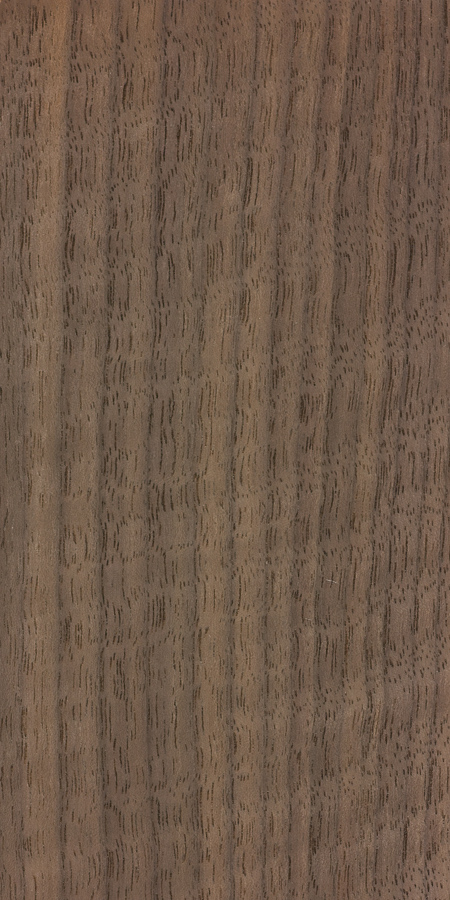 北美黑胡桃木-3