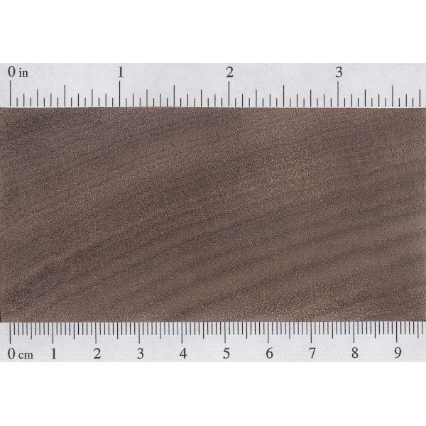 非洲黑胡桃木-1