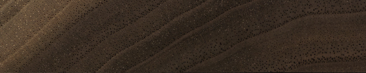 北美黑胡桃木-4