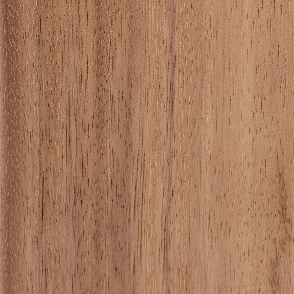 南美胡桃木(雨豆木)-2