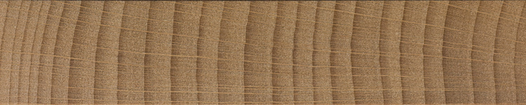 美国山毛榉木-0