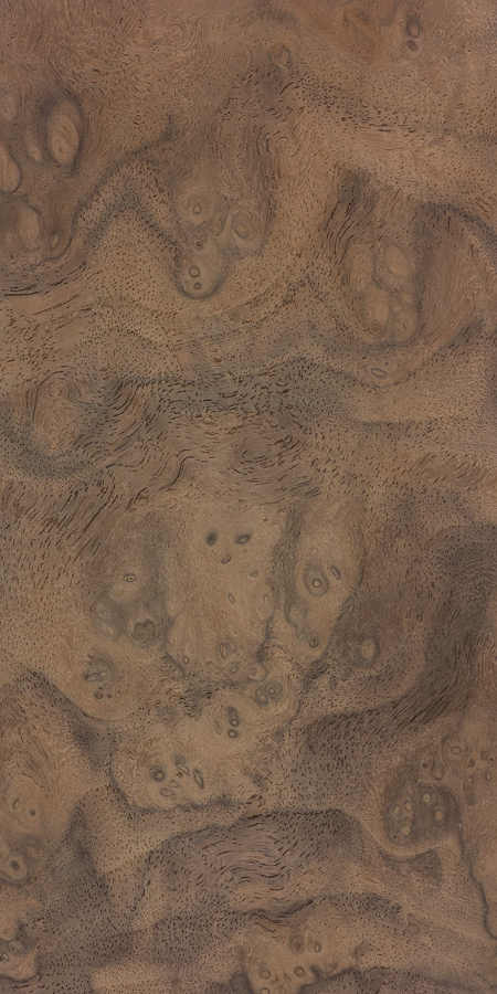 北美黑胡桃木-7