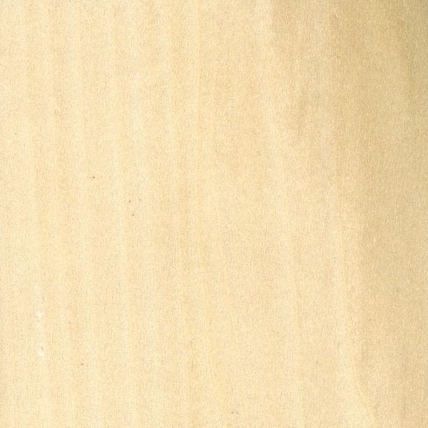 美国鹅掌楸木-2