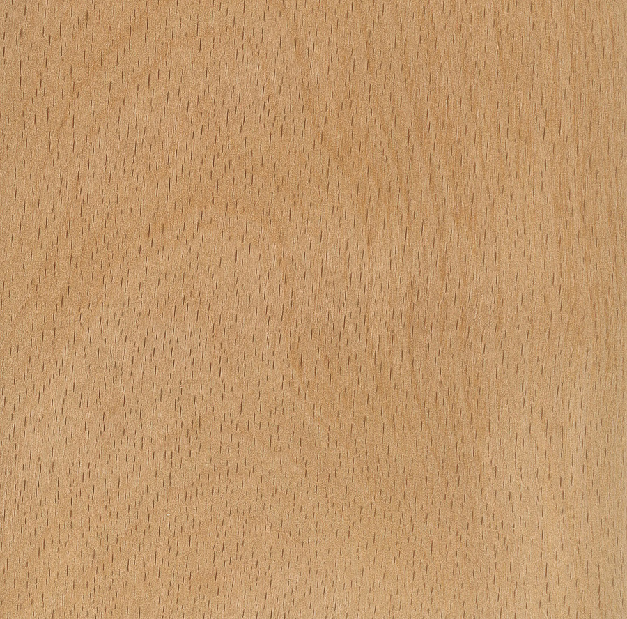 美国山毛榉木-1